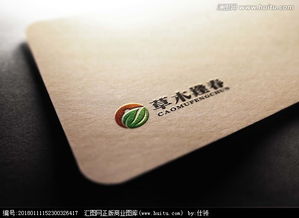 文化傳播公司logo設(shè)計(jì) 從素材選擇到設(shè)計(jì)懸賞的完整指南