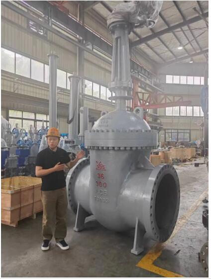 行走閥門江湖數十載！挺宇流體智能化新工廠預計2026年10月投入使用，開啟文化傳播新篇章