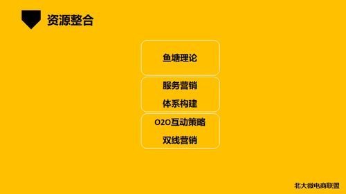 北大微電商聯盟 移動互聯時代的企業(yè)IP與品牌營銷新范式